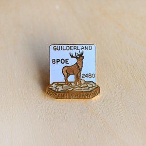 Vintage Guilderland NY Deer Elks BPOE Lapel Pin 1"